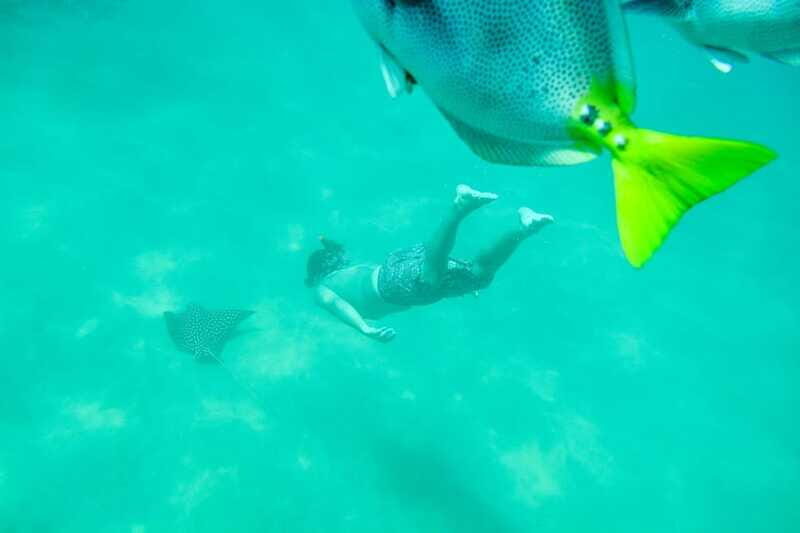 Cabo San Lucas: Snorkeling at Lovers Beach - Frequently Asked Questions