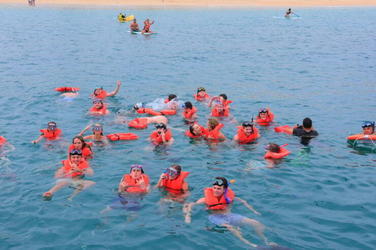 Cabo San Lucas: Snorkeling Tacos and Discovery Tour - Experience and Highlights