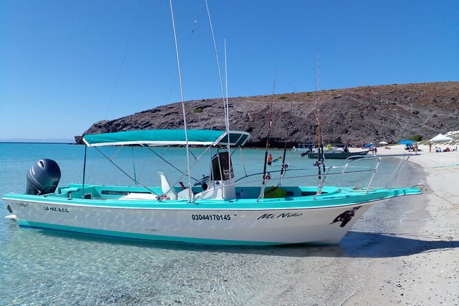 Cabo San Lucas Snorkeling With Whale Sharks With Lunch - Common Questions