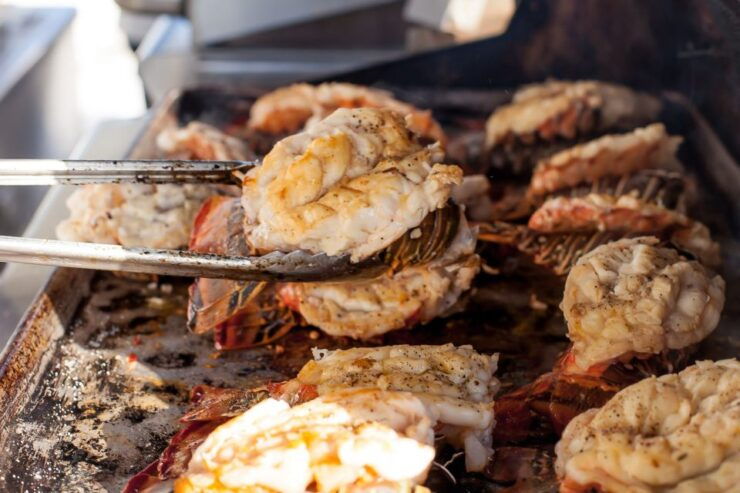 Cabo San Lucas: Sunset Dinner Cruise - Tour Details