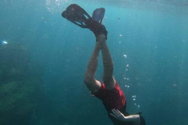 Cabo San Lucas: The Corridor Snorkeling Adventure - Tour Highlights