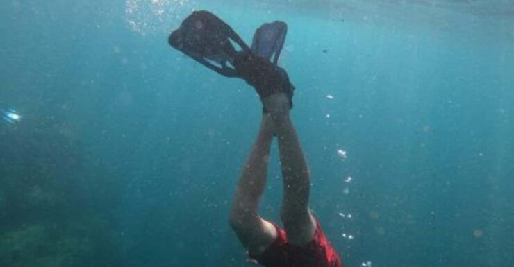 Cabo San Lucas: The Corridor Snorkeling Adventure - Good To Know