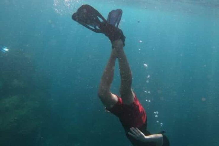 Cabo San Lucas: The Corridor Snorkeling Adventure - Booking Information