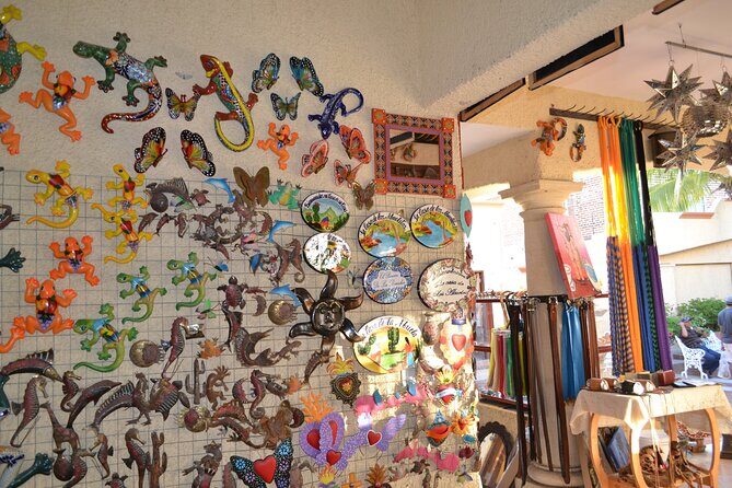 Cabo San Lucas Tour & Glass Bottom Boat to the Arch - Who Will Love This Tour?