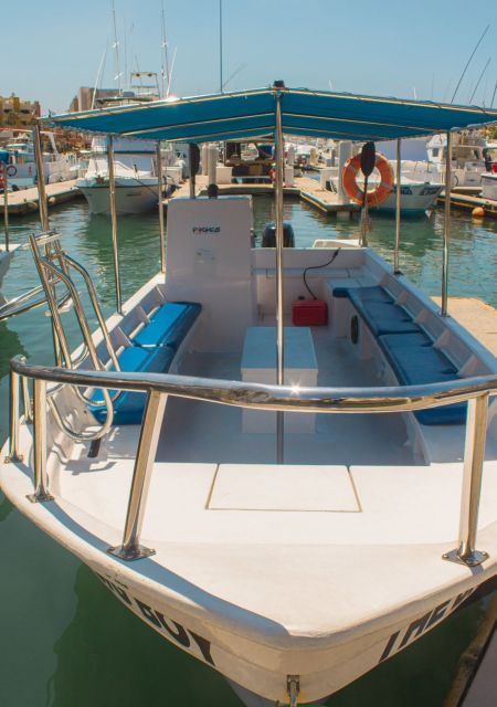 Cabo San Lucas: Tour to the Arch With a Stop at a Private Beach - Tour Overview