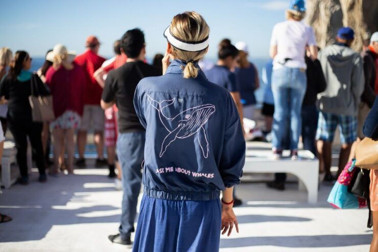 Cabo San Lucas: Whale Watching Breakfast Cruise - Experience Highlights