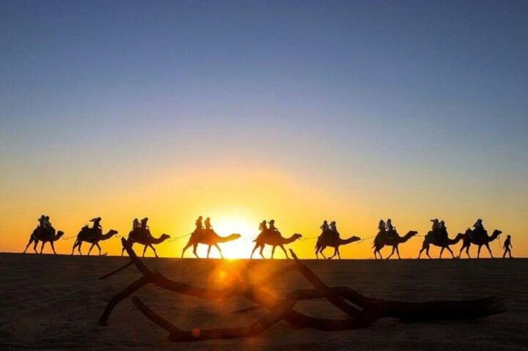 Cabo: Sunset Camel Ride and ATV Combo Adventure - Booking Details