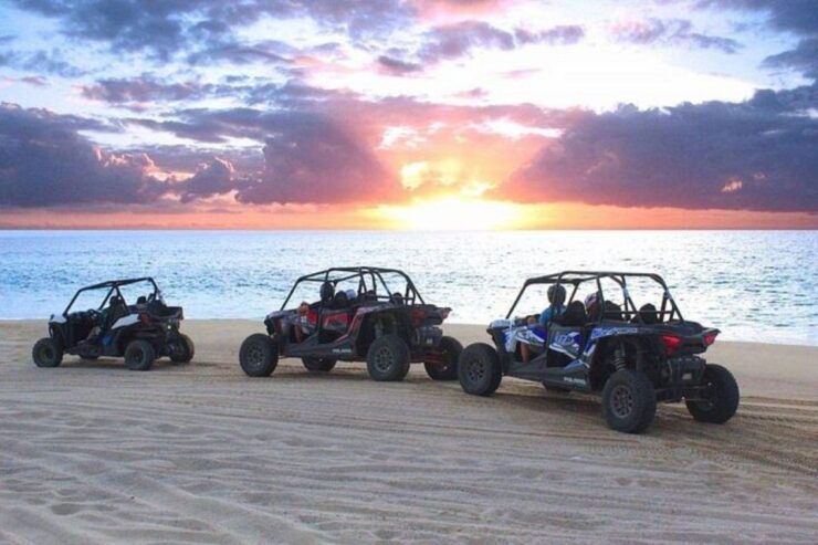 Cabo: Sunset Camel Ride and ATV Combo Adventure - Activity Overview
