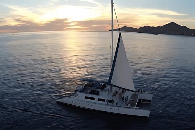 Cabo Sunset Catamaran Cruise: El Arco & Open Bar Experience - Good To Know