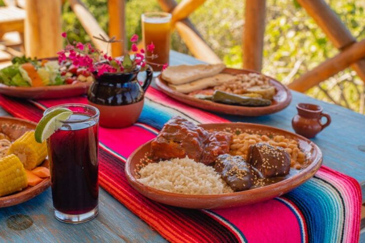 Cabo: Todo Santos Tour With Camel Ranch, Tequila and Lunch - Experience Highlights