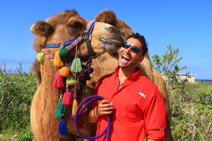 Cabo : UTV and Camel Ride in the Desert - Transportation and Itinerary
