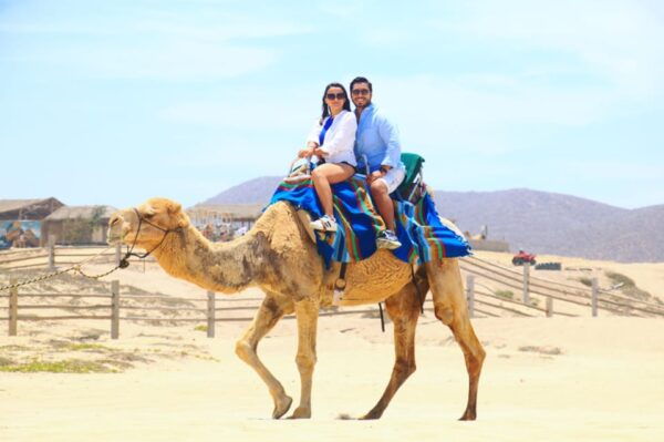 Cabo : UTV and Camel Ride in the Desert - Pickup and Drop-off Locations