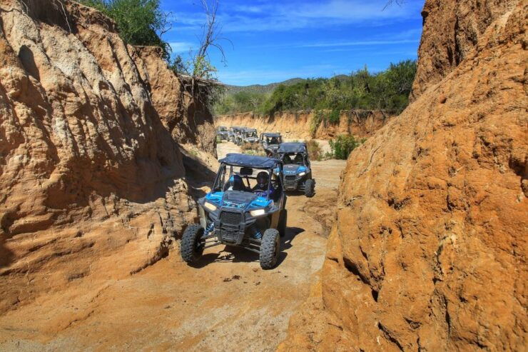 Cabo: UTV Off-Roading, Mexican Lunch, and Tequila - Pricing Information