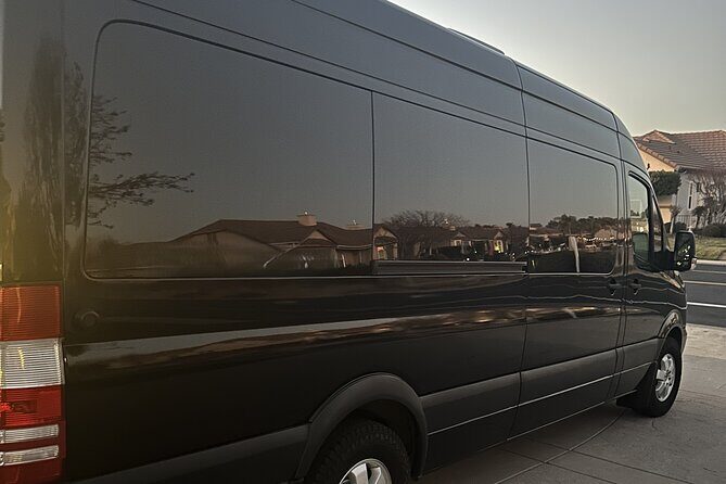 Cabo's Luxury Party Bus, Where We Take The Party To YOU! - Good To Know