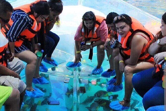 Cabo's Original Clear Boat Tour! See it all in one tour! - Final Thoughts