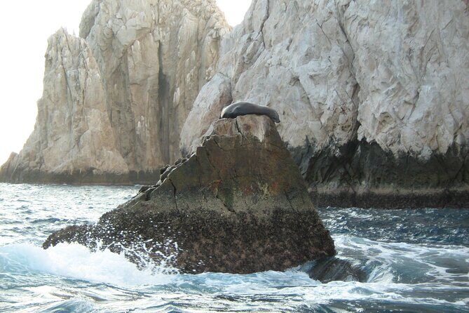 Cabo's Premier Catamaran Snorkeling: Explore the Waters! - An Overview of the Catamaran Snorkeling Cruise