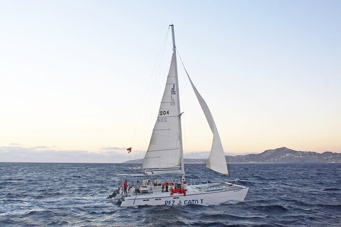 Cabo's Premier Catamaran Snorkeling: Explore the Waters! - Why This Tour Offers Great Value