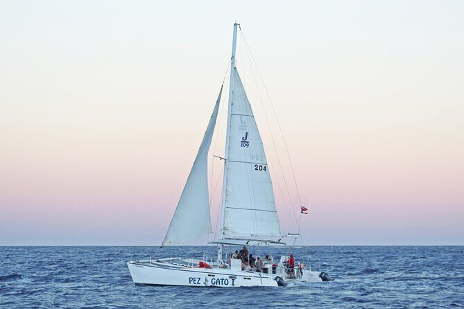 Cabo's Premier Catamaran Snorkeling: Explore the Waters! - The Sum Up