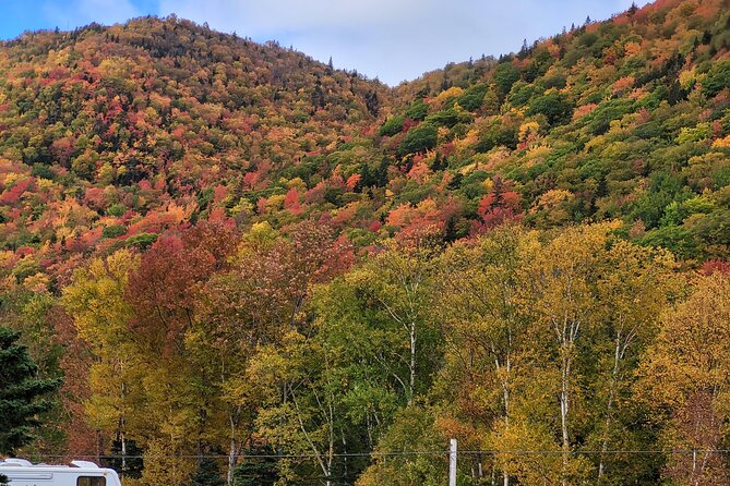 Cabot Trail Private Full Day Tour - How to Book Your Cabot Trail Private Tour
