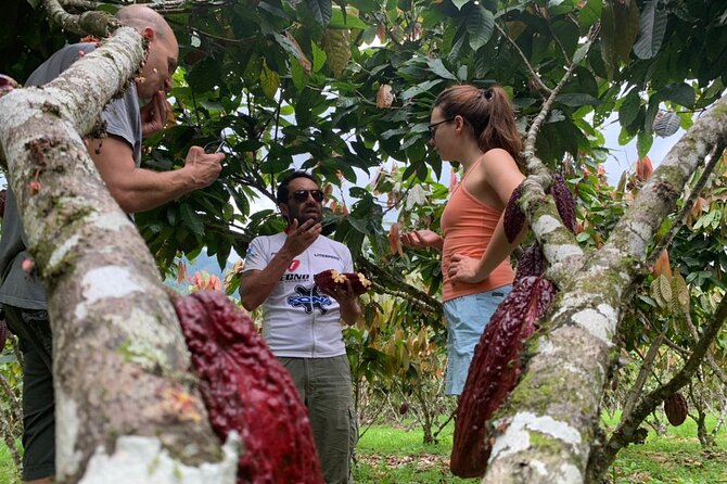 Cacao Farm & Chocolate Tasting With a Visit to Jubones Desert - Pickup and Drop-off Information
