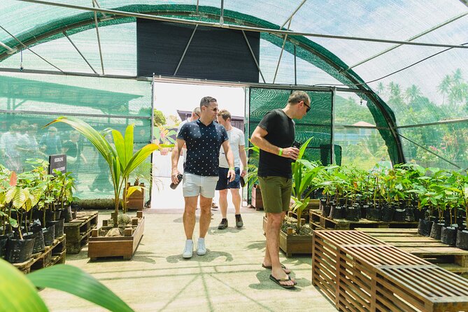 Cacao Plantation, Chocolate Crafting and Dining Experience  - St Lucia - Overview and Experience