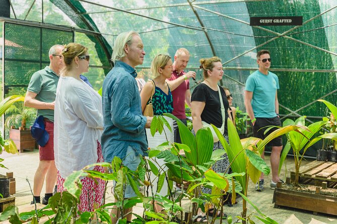 Cacao Plantation, Chocolate Crafting and Dining Experience  - St Lucia - Whats Included and Meeting/Pickup Information