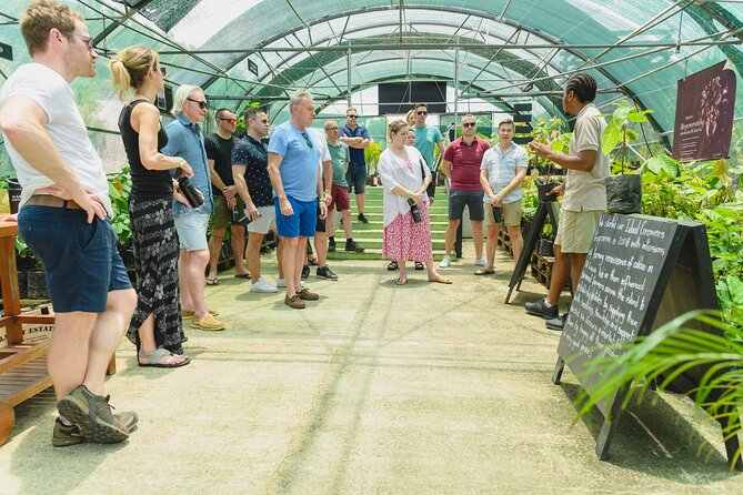 Cacao Plantation, Chocolate Crafting and Dining Experience  - St Lucia - Directions