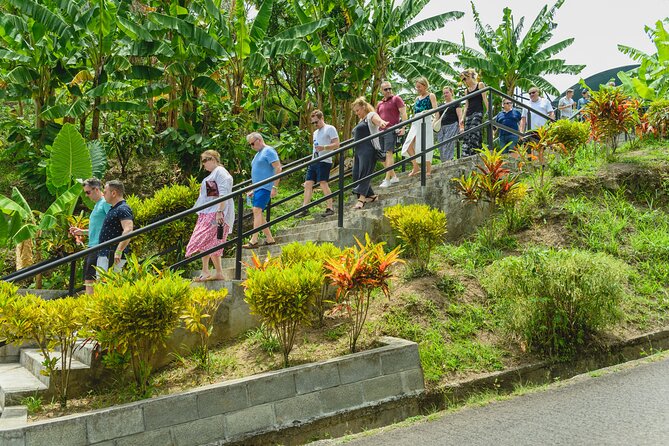 Cacao Plantation, Chocolate Crafting and Dining Experience  - St Lucia - Common Questions