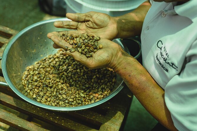 Cacao Plantation, Chocolate Crafting and Dining Experience  - St Lucia - The Sum Up