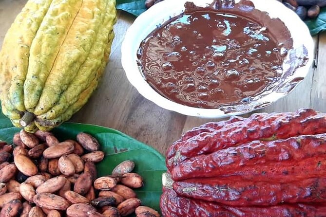 Cacao Tour - Tour Details