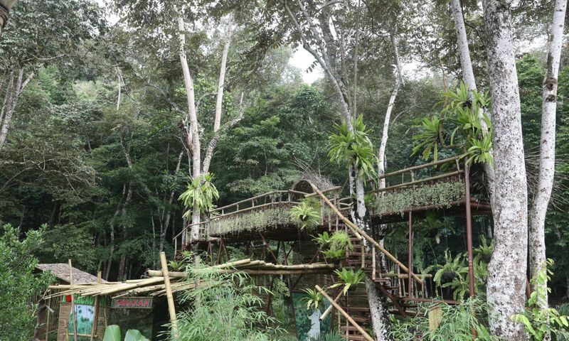 Cacaoyan Forest Park Ticket and Lunch - Cacaoyan Forest Park at a glance