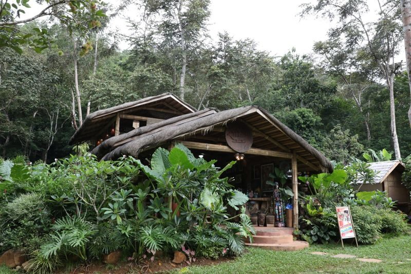 Cacaoyan Forest Park Ticket and Lunch - A leafy change of pace near Sabang