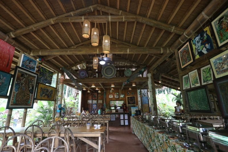 Cacaoyan Forest Park Ticket and Lunch - Photo spots, with nature still in the frame
