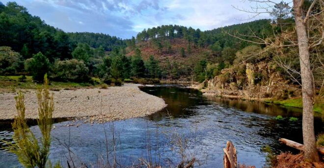 Cáceres: Gold Panning and Searching With Expert Guide - Activity Description