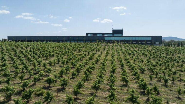 Cáceres: Habla Wineries - Restrictions and Meeting Point