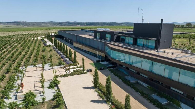 Cáceres: Habla Wineries - Exploring the Unique Environment