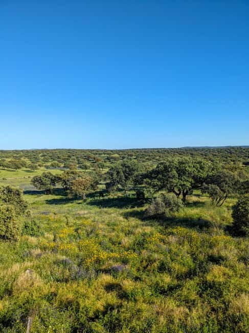 Cáceres: Monfrague Wildlife Full-Day Tour - Good To Know