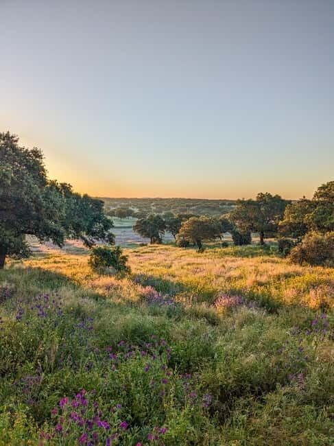 Cáceres: Monfrague Wildlife Full-Day Tour - Introduction: What’s the Monfrague Wildlife Tour All About?