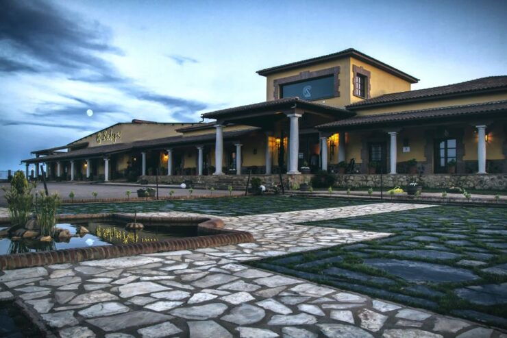 Cáceres: Winery Tour and Wine Tasting With Local Guide - Activity Details