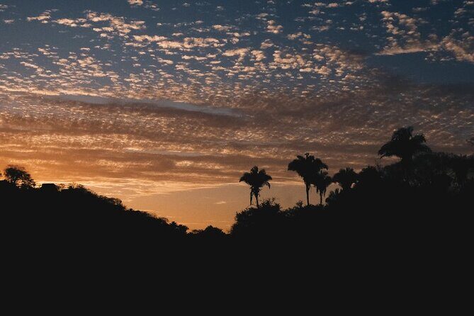 Cachasol Raicilla and Tequila Tour - The Sum Up