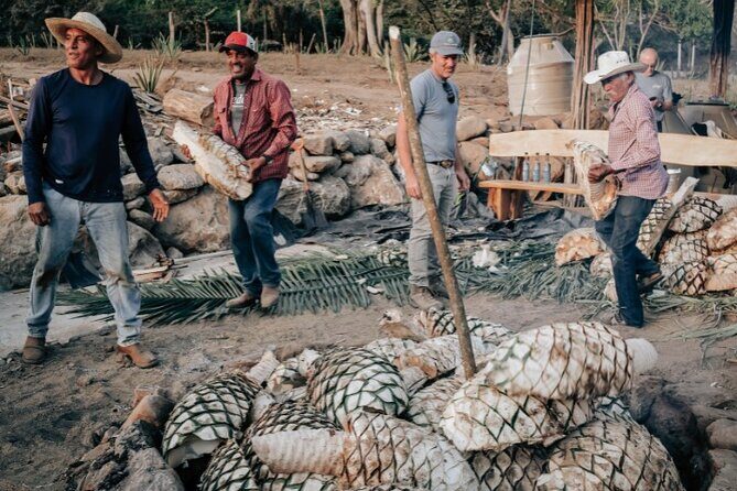 Cachasol Raicilla and Tequila Tour - FAQ