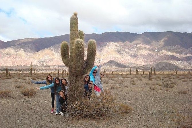 Cachi and Its Spectacular Los Cardones National Park - Additional Information and Accessibility