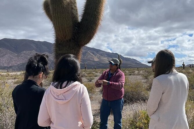 Cachi, Laurel Gorge, Escoipe Gorge, Los Cardones National Park (Feb ) - Pickup and Drop-off Details