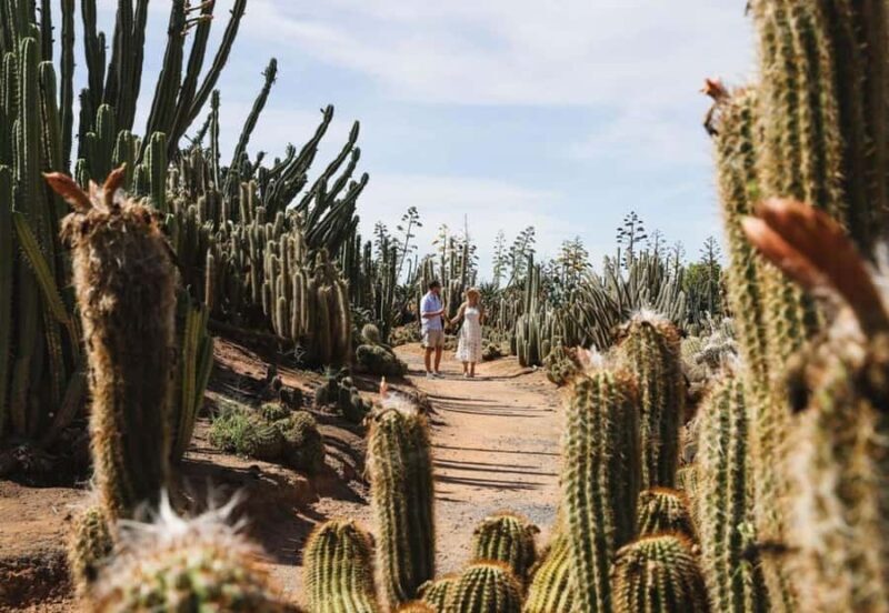 Cactus Country: Entry Ticket - Exploring Cactus Country: An Authentic Aussie Garden Experience