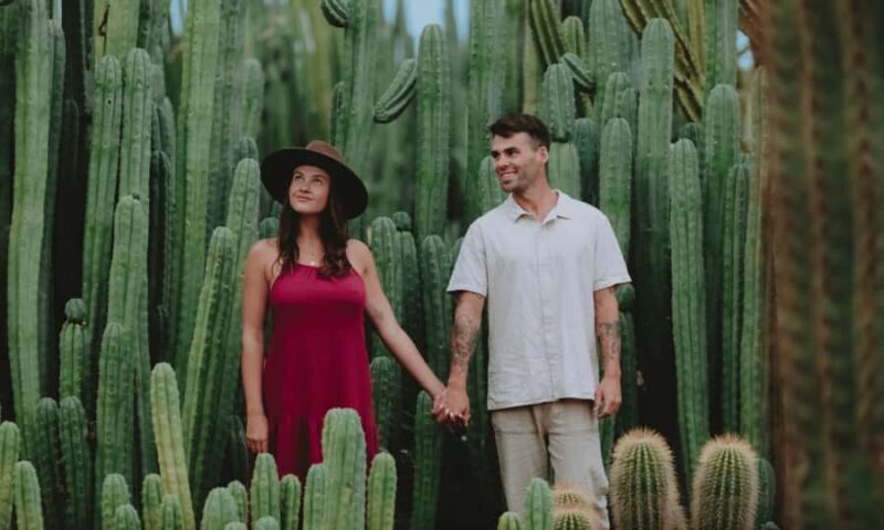 Cactus Country: Entry Ticket - A Closer Look at the Cactus Country Experience