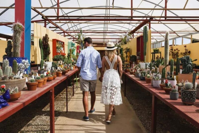 Cactus Country: Entry Ticket - FAQ