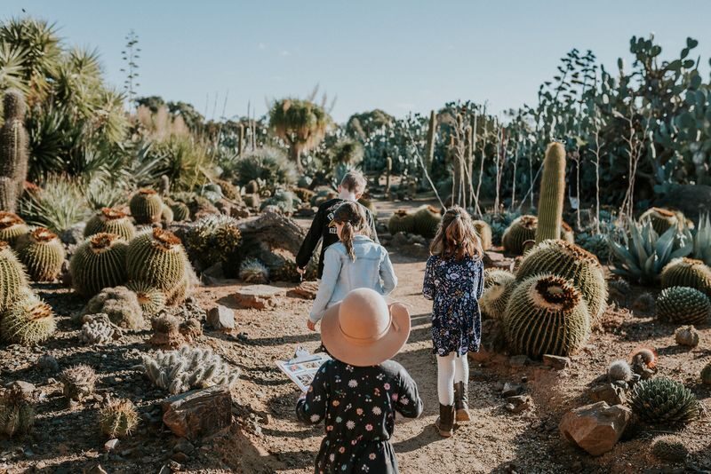 Cactus Country Garden Ticket - The first impression: a desert garden in rural Victoria