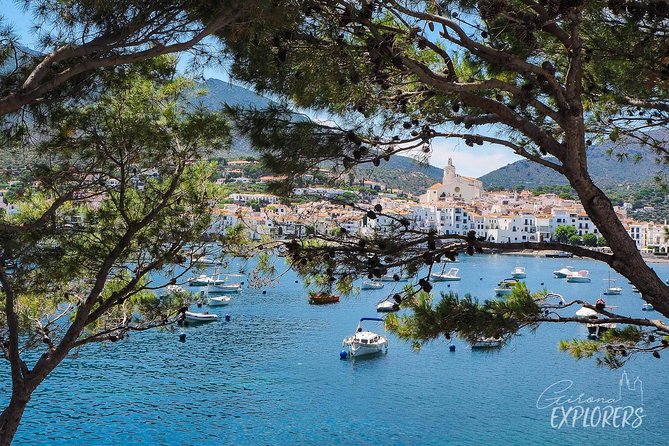 Cadaqués & Dalí House-Museum Day Trip From Girona (Tickets Included) - Important Information and Guidelines for the Day Trip