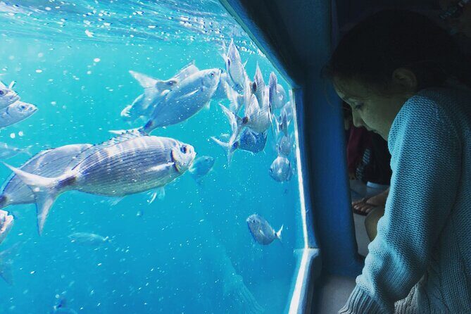 Cadaqués Tour 1 hour stop and Super Vision underwater - Who Would Love This Tour?