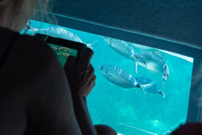 Cadaqués Tour 1 hour stop and Super Vision underwater - Final Thoughts